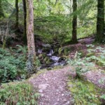 Photo of a wild stream I found while hiking in Snowdonia.